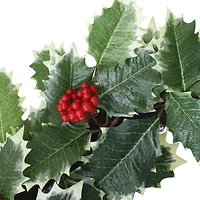 22" Red Berry & Holly Wreath by Ashland®