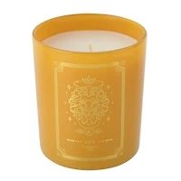 10oz. Scented Leo Jar Candle by Ashland®