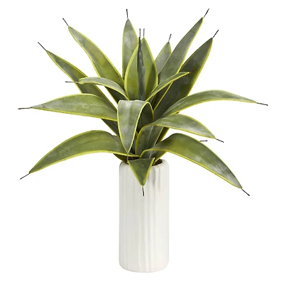 16" Snake Plant in White Planter