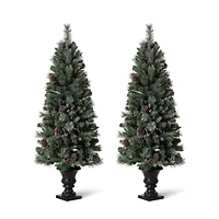 5ft. Pre-Lit Flocked Pine Artificial Christmas Tree, Warm White Lights, 2ct.