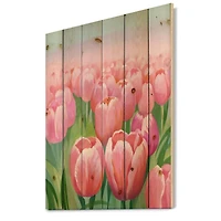 Designart - Field of Pink Tulips