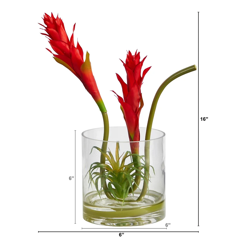 16" Red Star Bromeliad Arrangement in Glass Vase