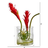 16" Red Star Bromeliad Arrangement in Glass Vase
