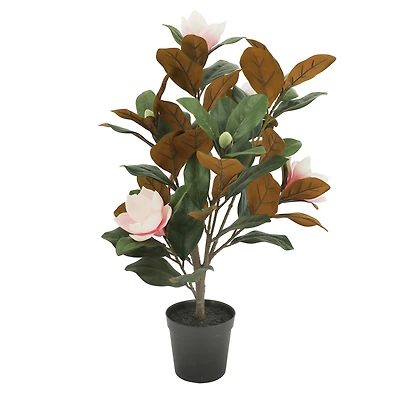 2.5ft. Potted Pink Magnolia Tree by Ashland®