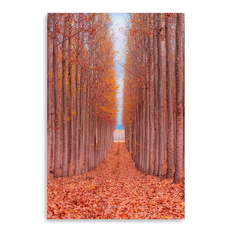 Lumaprints Tree Farm Giclée Canvas