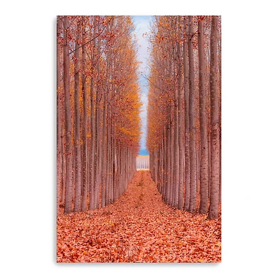Lumaprints Tree Farm Giclée Canvas