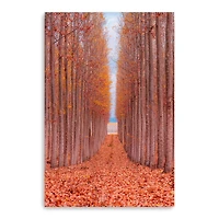 Lumaprints Tree Farm Giclée Canvas