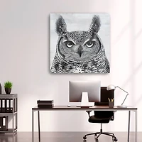 Portrait Of An Owl Canvas Giclee