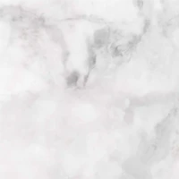 WallPops Gallo Peel & Stick Wall Tiles