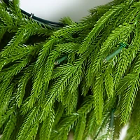 20in. Pre-Lit Artificial Real Touch Norfolk Island Pine Wreath with 35 Warm White LED Lights and Natural Look