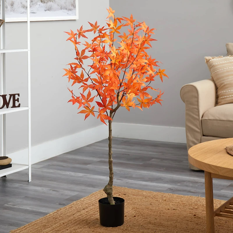 4ft. Potted Orange Autumn Maple Tree