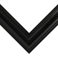 Frame USA Grande Black Single Image Picture Frame