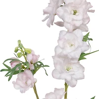 37" Light Pink Delphinium Stem by Ashland®