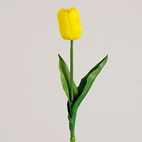 25" Tulip Flower Stems