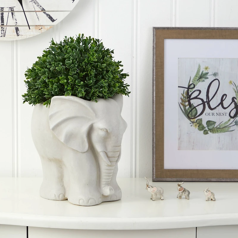 16" Boxwood Topiary Plant in Elephant Shaped Planter