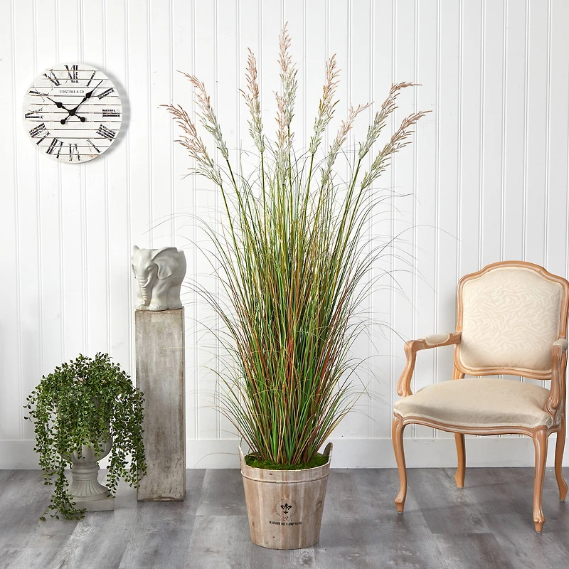 6ft. Grass Plant in Farmhouse Planter