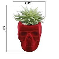 Flora Bunda® Succulent in Burgundy Flocked Ceramic Skull