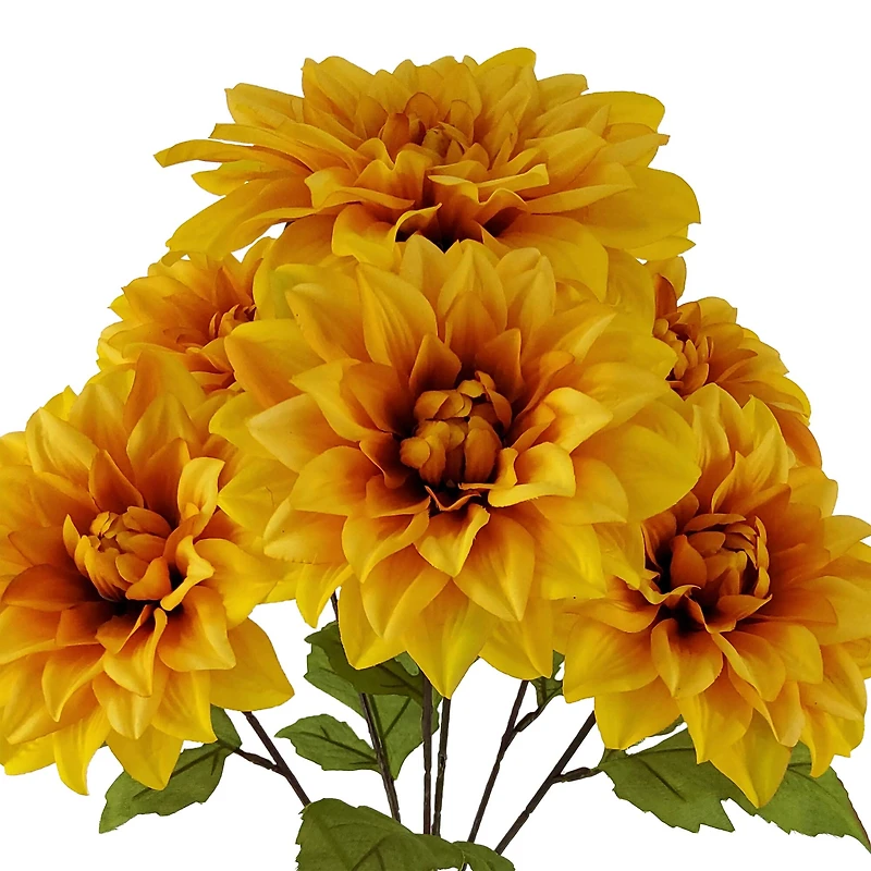 19.5" Yellow Dahlia Bush by Ashland®