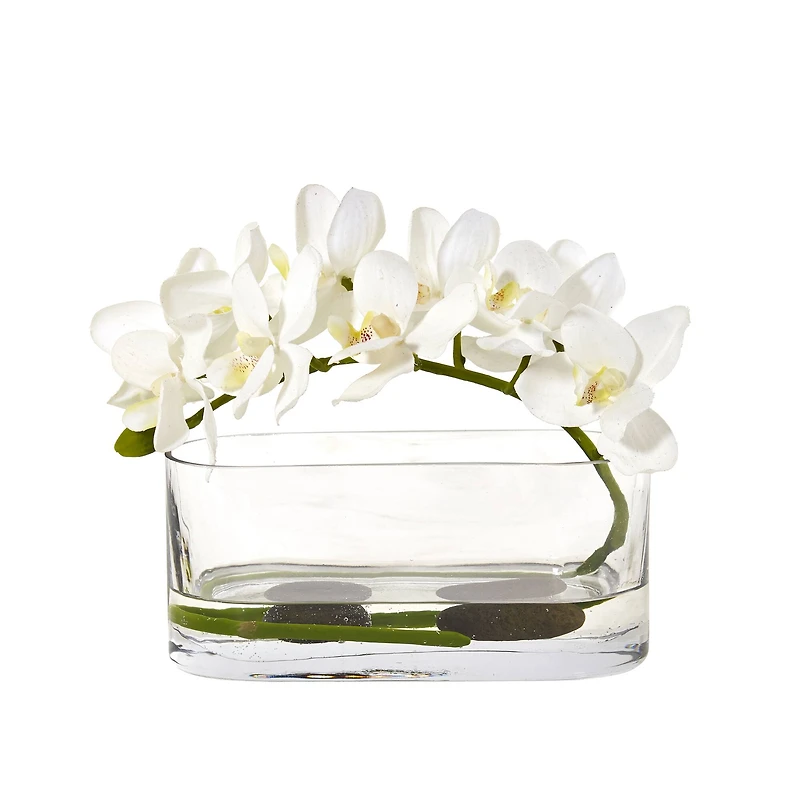 7" Moth Orchid Arrangement in Glass Vase