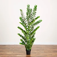 6ft. Artificial Zamioculcas Plant