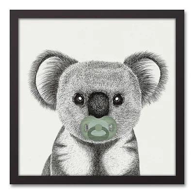 Pacifier Koala 16" x 16" Black Framed Canvas