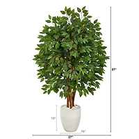 57" Super Deluxe Ficus Tree in White Planter