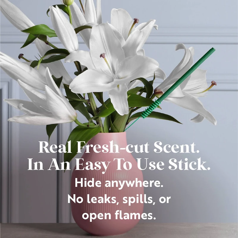 Scentsicles Stick Lemon 'n Lilies and Berryvines & Wildflowers, 2 pack of 6