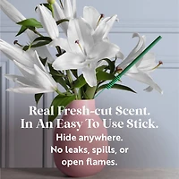 Scentsicles Stick Lemon 'n Lilies and Berryvines & Wildflowers, 2 pack of 6