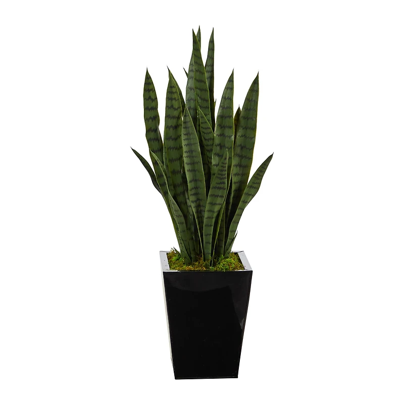 3ft. Snake Plant in Black Metal Planter