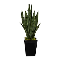 3ft. Snake Plant in Black Metal Planter