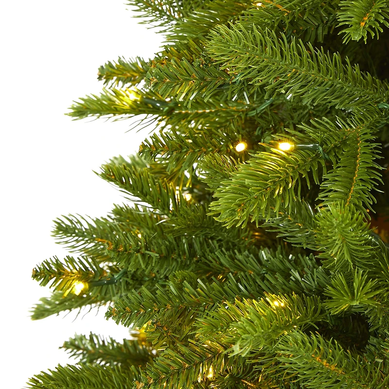6ft. Pre-Lit Sierra Spruce Artificial Christmas Tree, Clear LED Lights