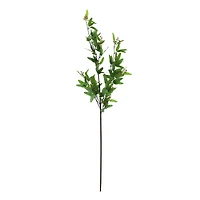 42" Green Seeded Eucalyptus Oversized Stem by Ashland®
