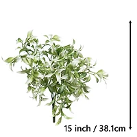 13" White Ruscus Bush by Ashland®