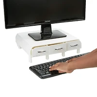 Mind Reader Laptop & Monitor Stand Organizer