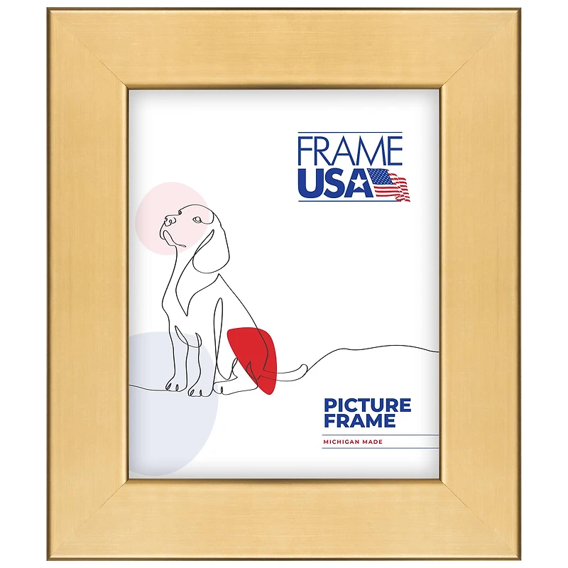 Frame USA Stainless Gold Single Image Picture Frame