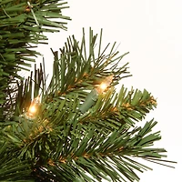 24" Pre-Lit Majestic Fir Tree In Gold Cloth Bag, Clear Lights