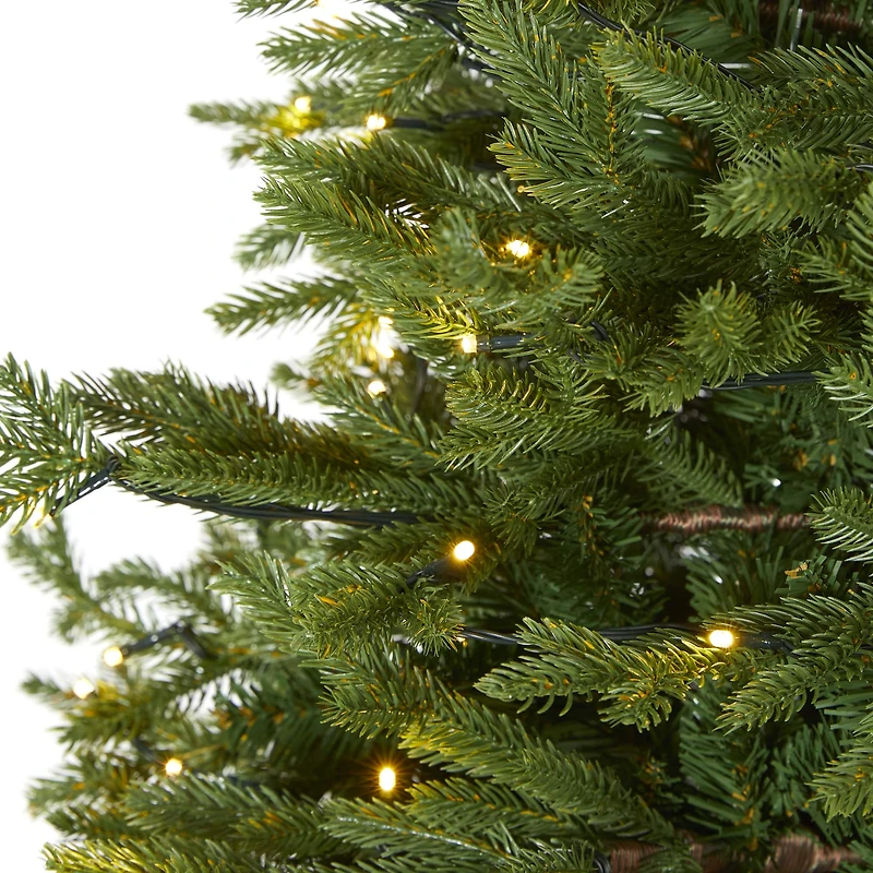 6ft. Pre-Lit Wyoming Spruce Artificial Christmas Tree with Clear LED Lights
