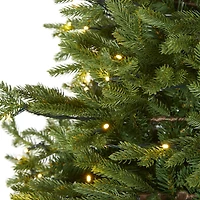6ft. Pre-Lit Wyoming Spruce Artificial Christmas Tree with Clear LED Lights