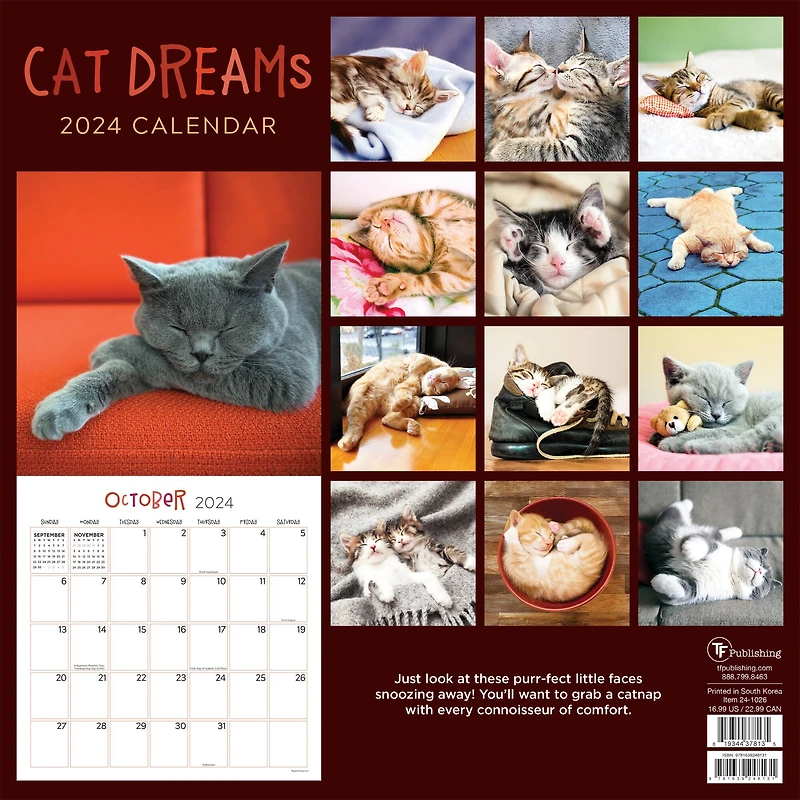 TF Publishing 2024 Cat Dreams Wall Calendar