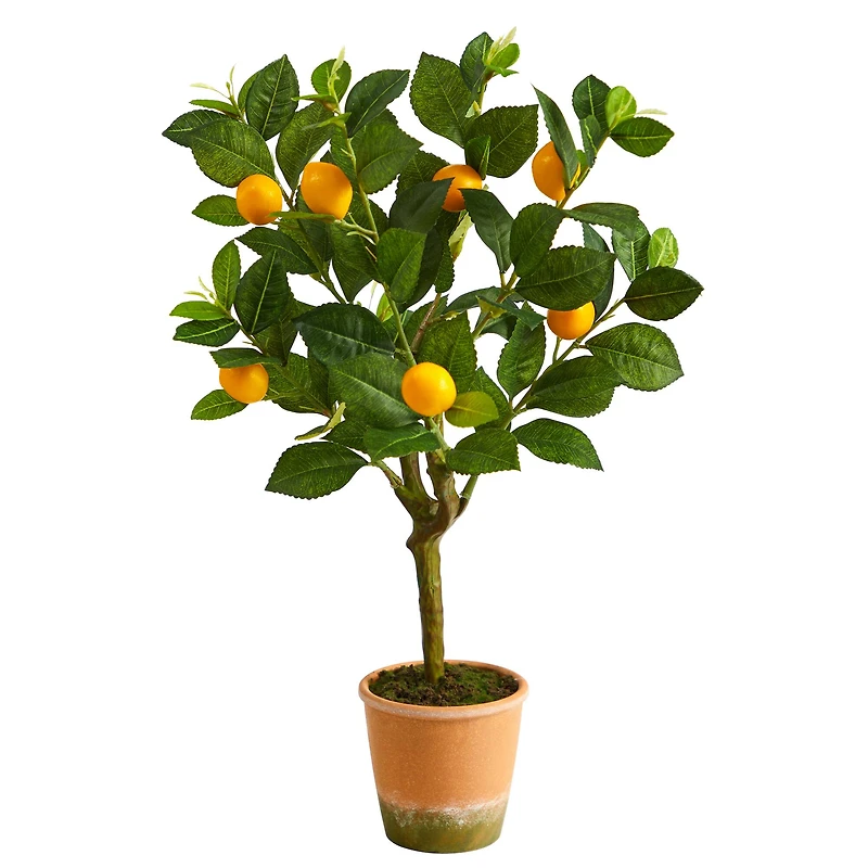 2ft. Lemon Tree in Brown Planter