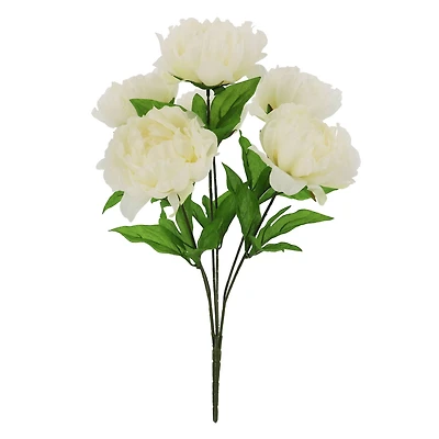 20" Peony Bush by Ashland