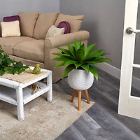 2.5ft. Agave Plant in White Planter with Stand