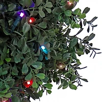 2ft. Boxwood Single Ball Topiary With Multi-Function LED Lights