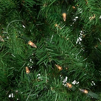 4ft. Pre-Lit Sierra Noble Fir Artificial Christmas Tree, Clear Lights