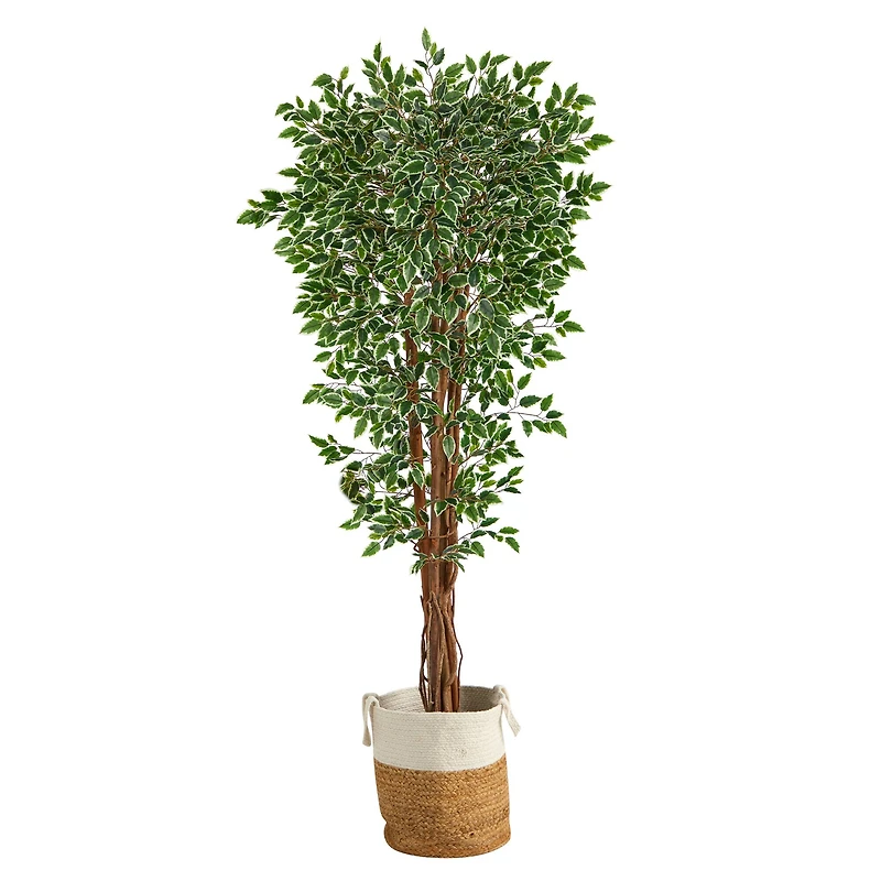 6ft. Variegated Ficus Tree in Handmade Natural Jute & Cotton Planter