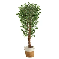 6ft. Variegated Ficus Tree in Handmade Natural Jute & Cotton Planter