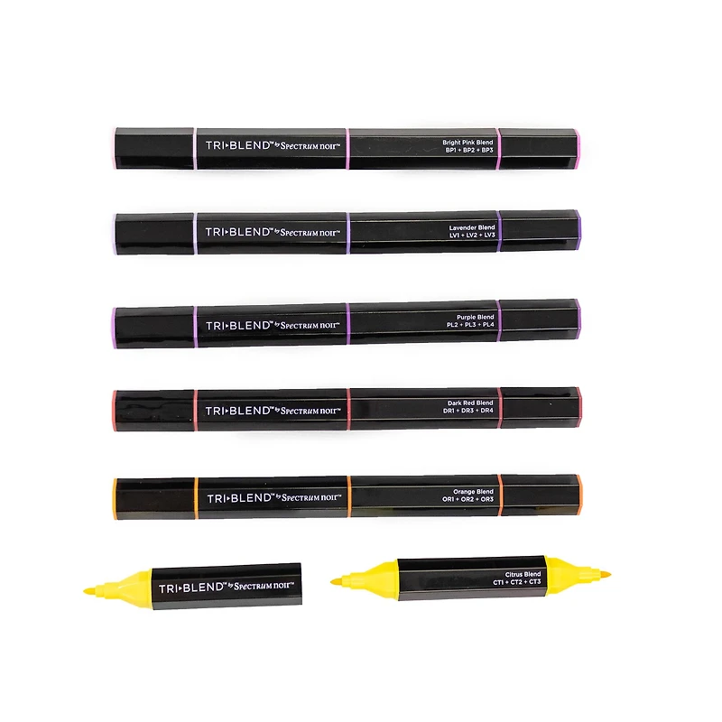 Spectrum Noir™ TriBlend™ Floral Blends Brush Marker Set