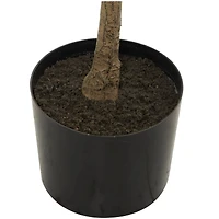 70" Green Faux Foliage Eucalyptus Artificial Tree With Black Plastic Pot