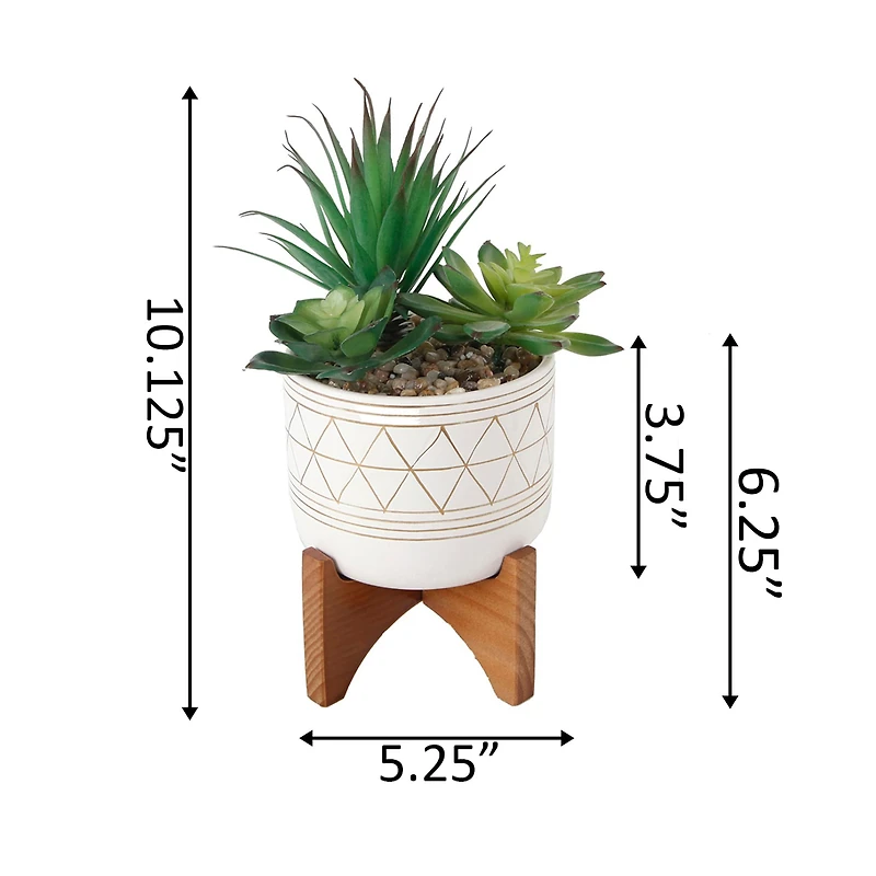 Flora Bunda® 5" Faux Succulents In Gold Paint Ceramic Footed Stand