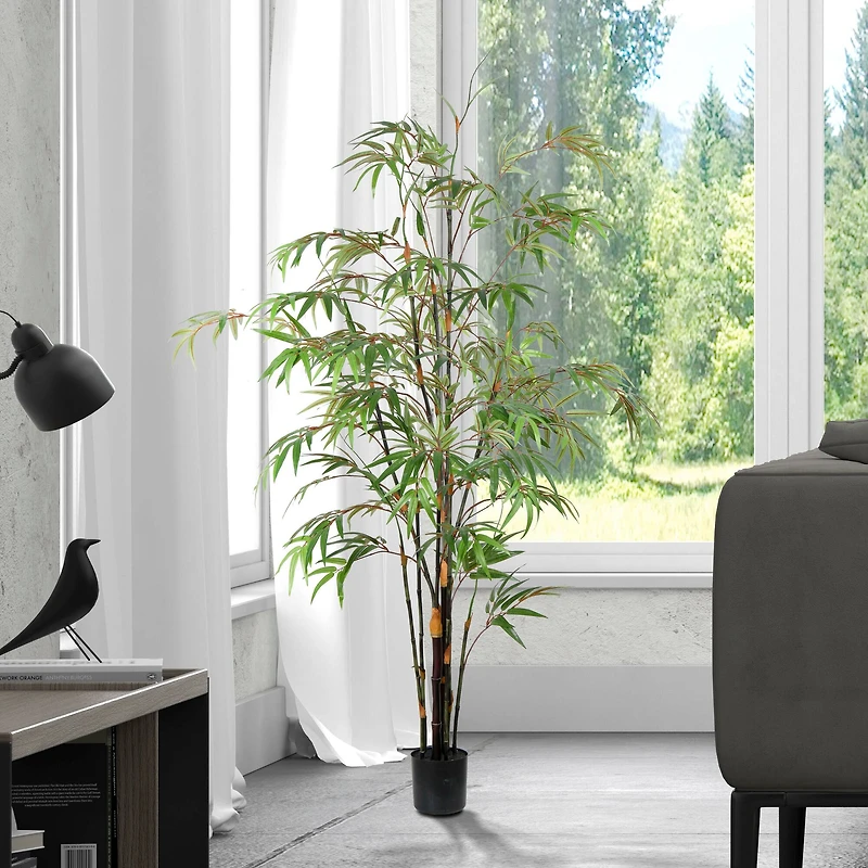 5ft. Potted Black Japanese Bamboo Tree